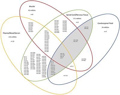 Biological Significance of microRNA Biomarkers in ALS—Innocent Bystanders or Disease Culprits?